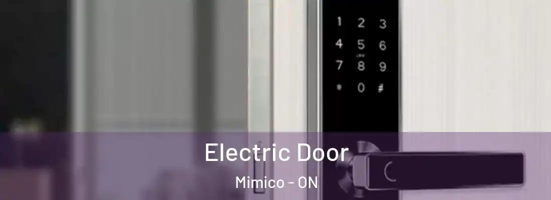  Electric Door Mimico - ON