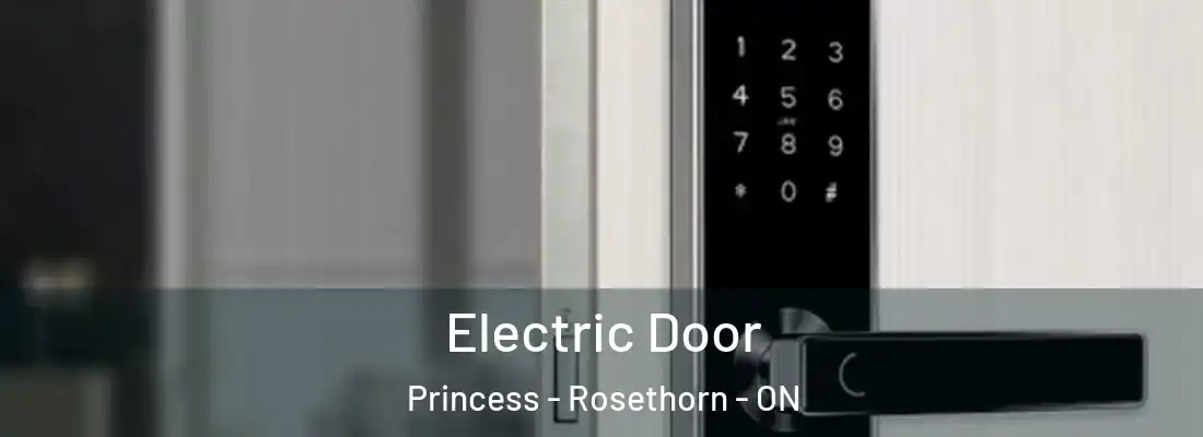  Electric Door Princess - Rosethorn - ON