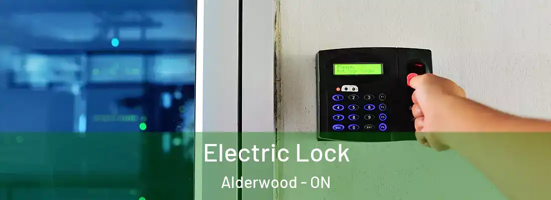  Electric Lock Alderwood - ON