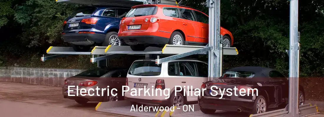  Electric Parking Pillar System Alderwood - ON