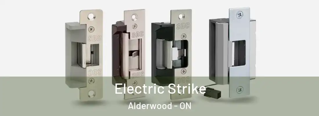  Electric Strike Alderwood - ON