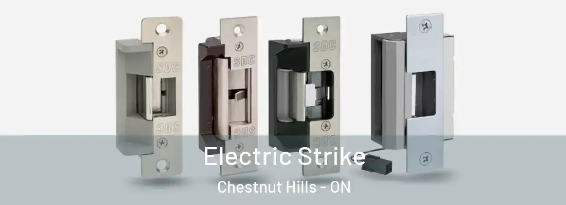  Electric Strike Chestnut Hills - ON