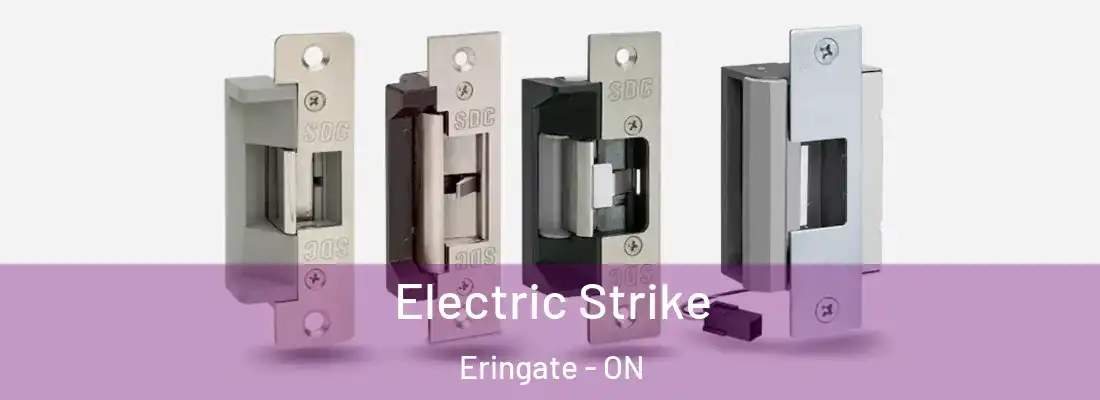  Electric Strike Eringate - ON
