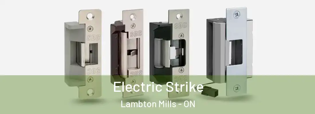  Electric Strike Lambton Mills - ON