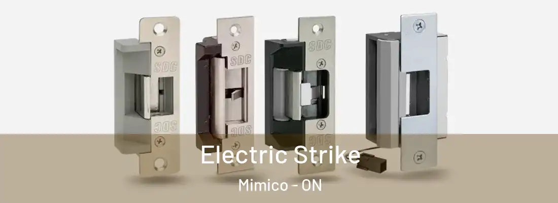  Electric Strike Mimico - ON