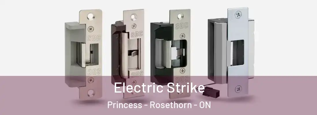  Electric Strike Princess - Rosethorn - ON