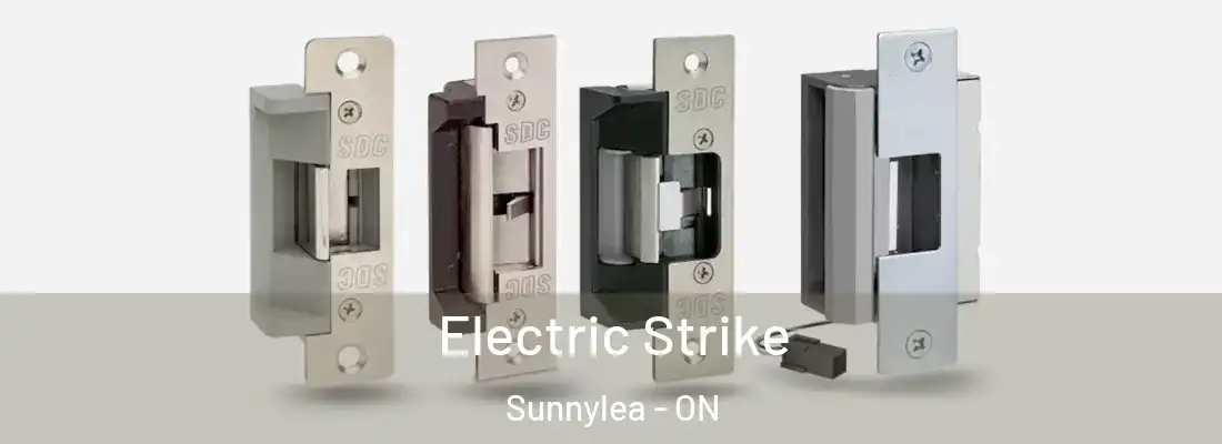  Electric Strike Sunnylea - ON