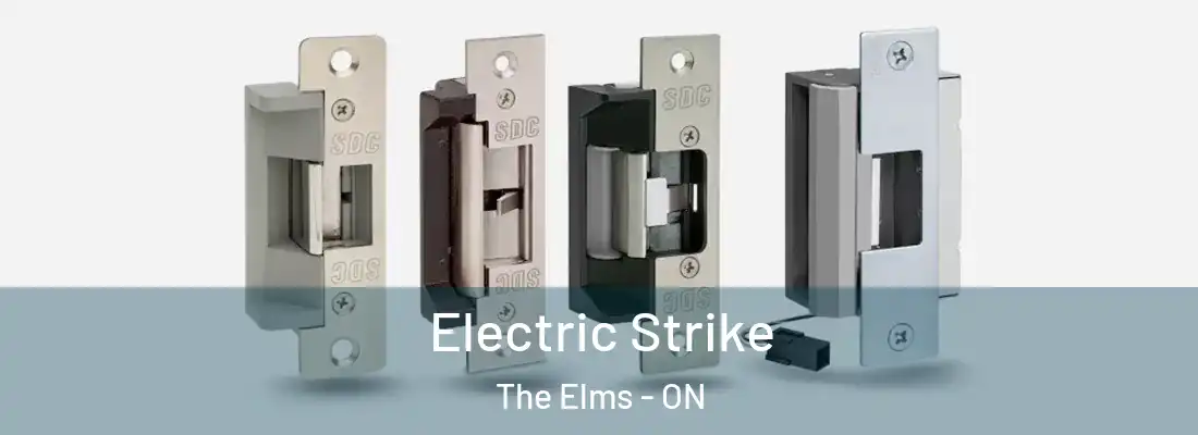  Electric Strike The Elms - ON