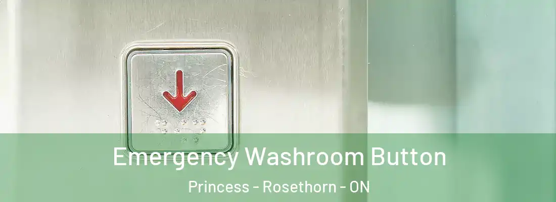  Emergency Washroom Button Princess - Rosethorn - ON