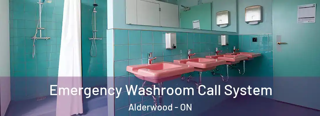  Emergency Washroom Call System Alderwood - ON