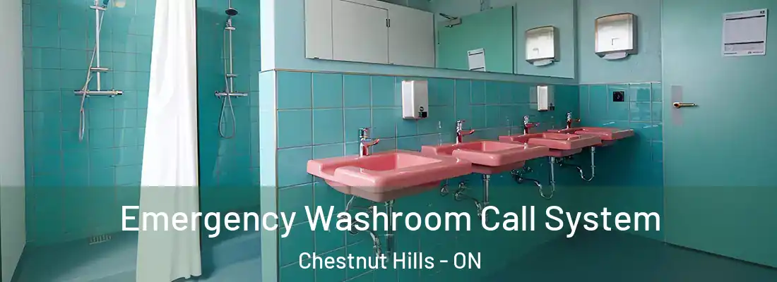 Emergency Washroom Call System Chestnut Hills - ON