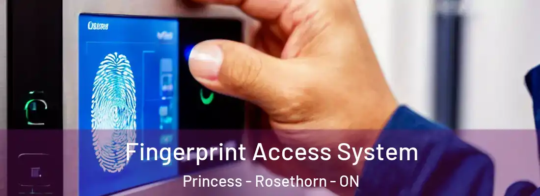  Fingerprint Access System Princess - Rosethorn - ON