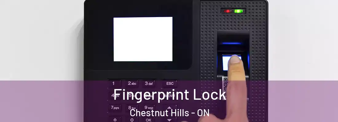  Fingerprint Lock Chestnut Hills - ON