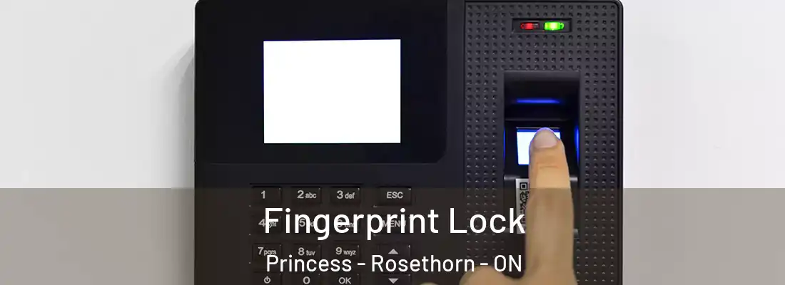  Fingerprint Lock Princess - Rosethorn - ON