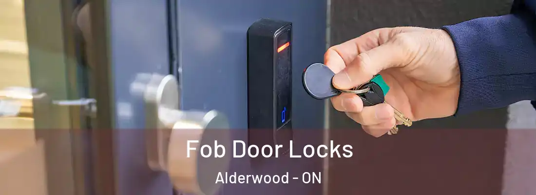  Fob Door Locks Alderwood - ON