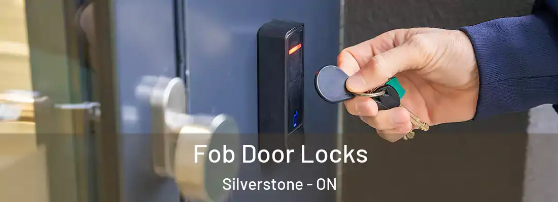  Fob Door Locks Silverstone - ON