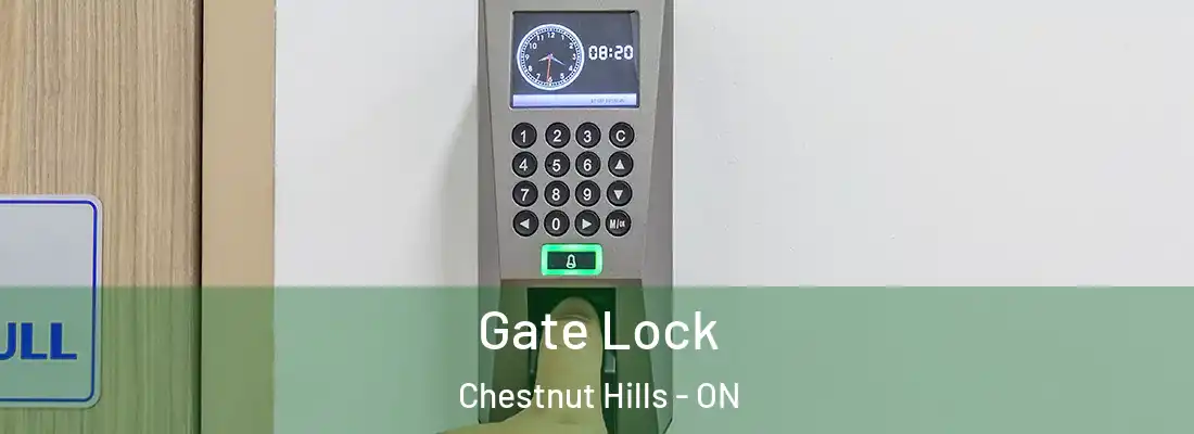  Gate Lock Chestnut Hills - ON