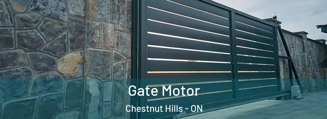  Gate Motor Chestnut Hills - ON