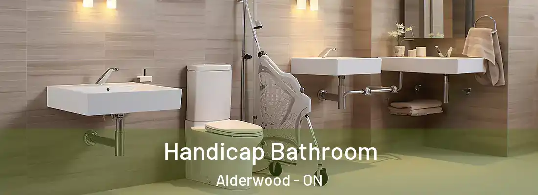  Handicap Bathroom Alderwood - ON