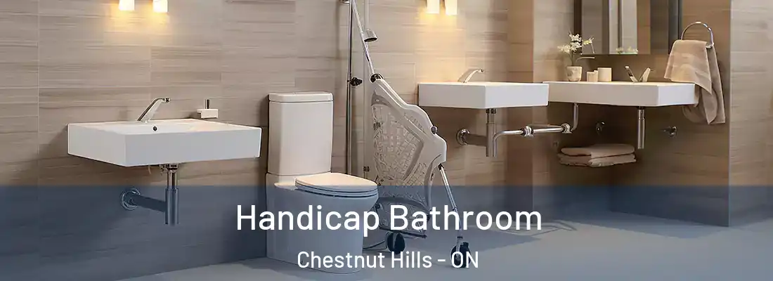  Handicap Bathroom Chestnut Hills - ON