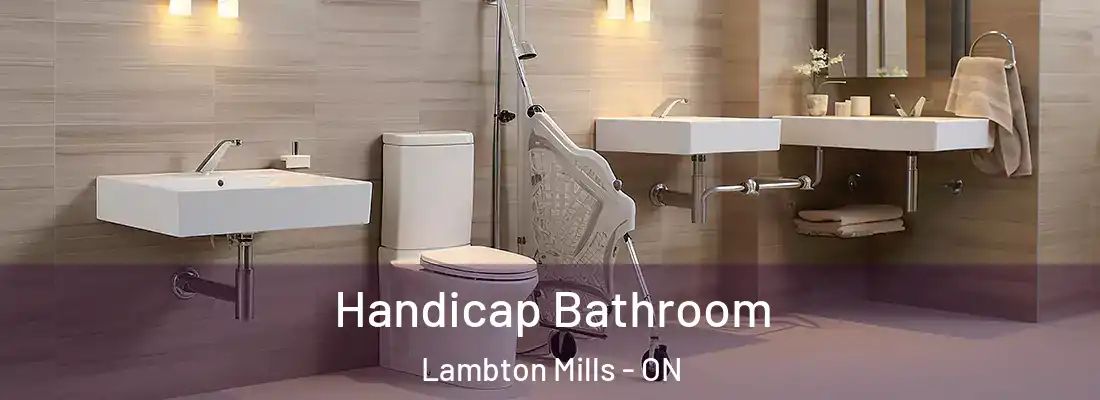  Handicap Bathroom Lambton Mills - ON