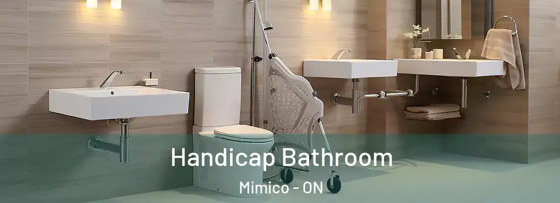  Handicap Bathroom Mimico - ON