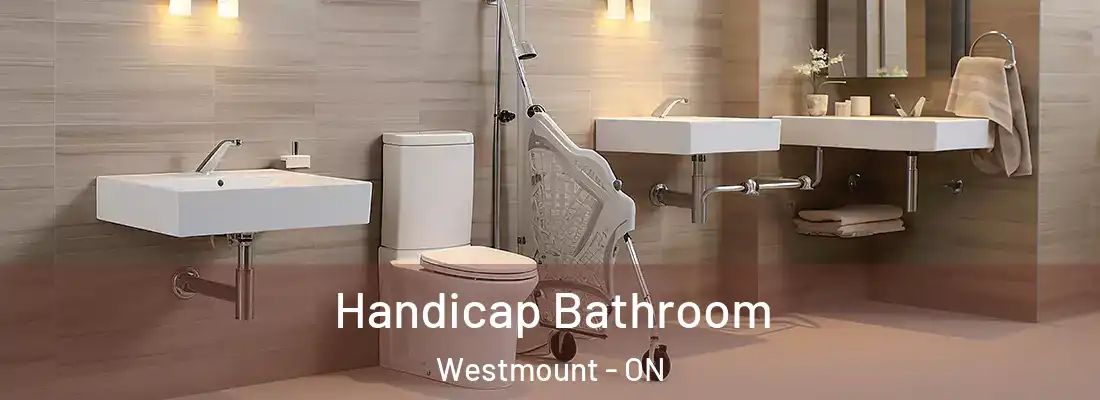  Handicap Bathroom Westmount - ON