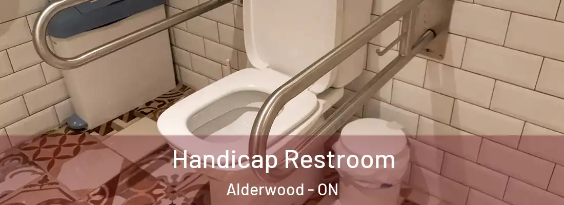  Handicap Restroom Alderwood - ON