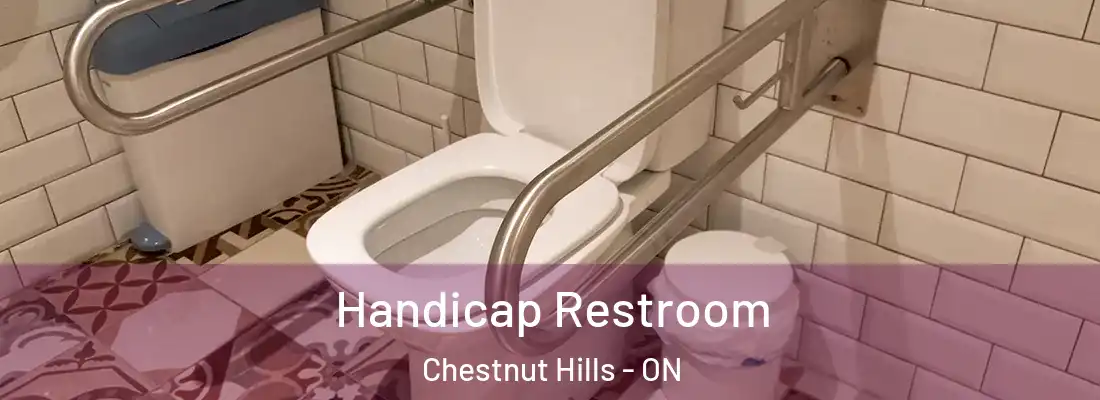  Handicap Restroom Chestnut Hills - ON