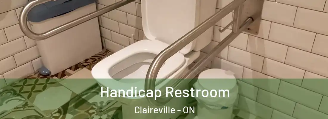  Handicap Restroom Claireville - ON