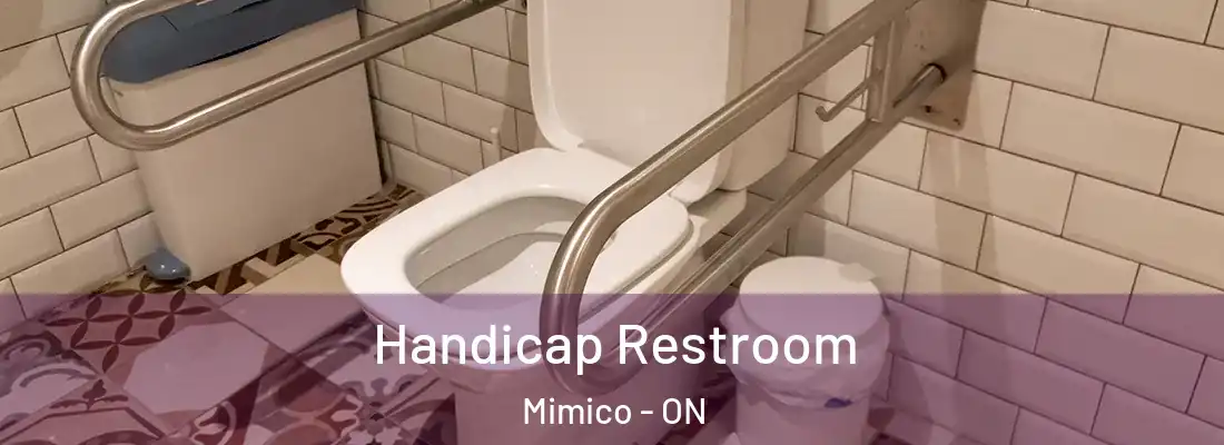  Handicap Restroom Mimico - ON