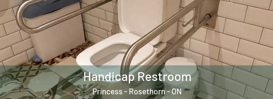  Handicap Restroom Princess - Rosethorn - ON