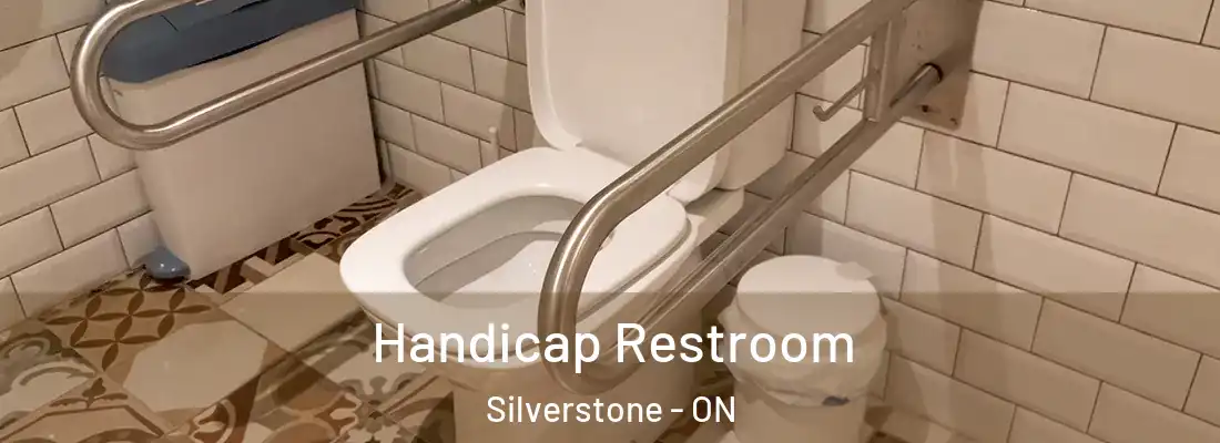 Handicap Restroom Silverstone - ON