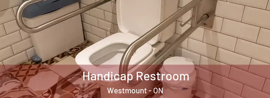  Handicap Restroom Westmount - ON