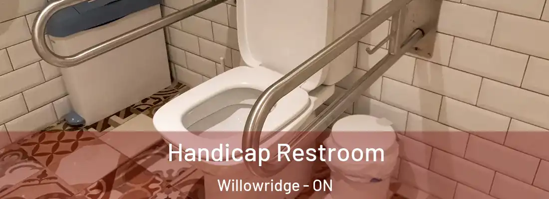  Handicap Restroom Willowridge - ON