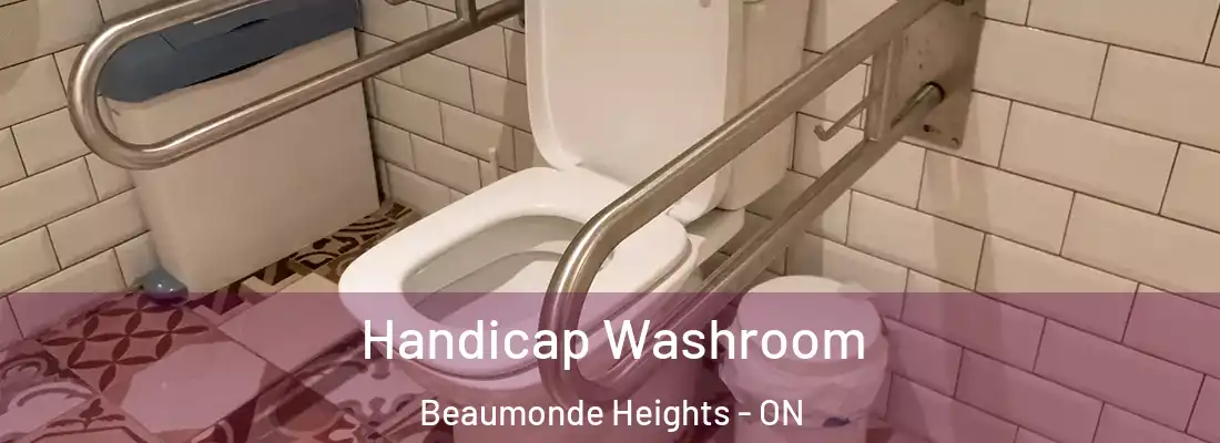  Handicap Washroom Beaumonde Heights - ON
