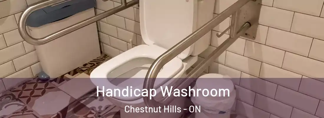  Handicap Washroom Chestnut Hills - ON