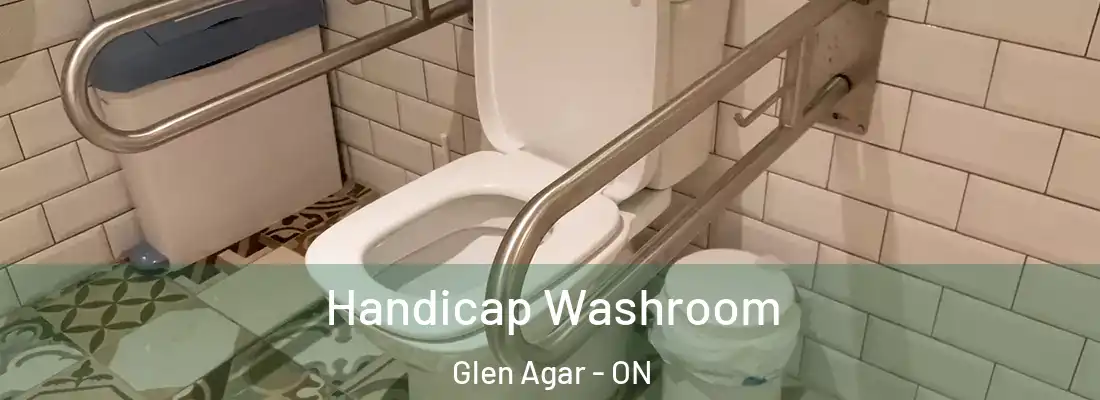  Handicap Washroom Glen Agar - ON