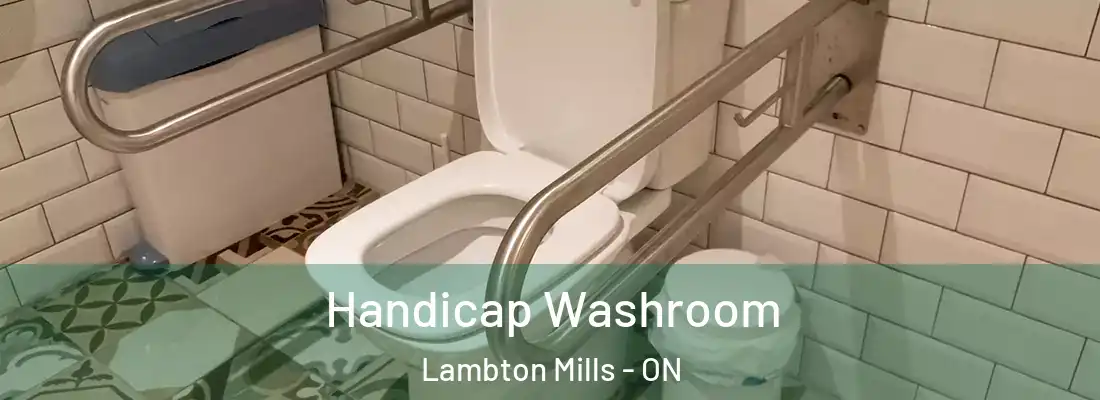  Handicap Washroom Lambton Mills - ON