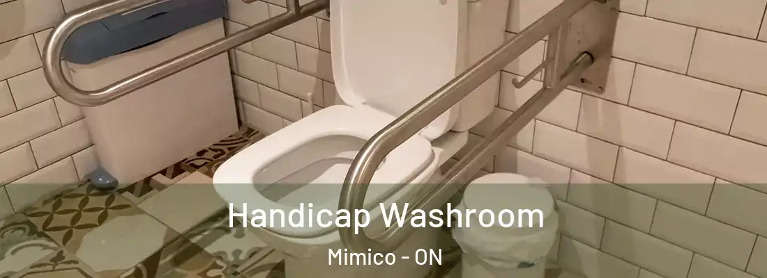  Handicap Washroom Mimico - ON