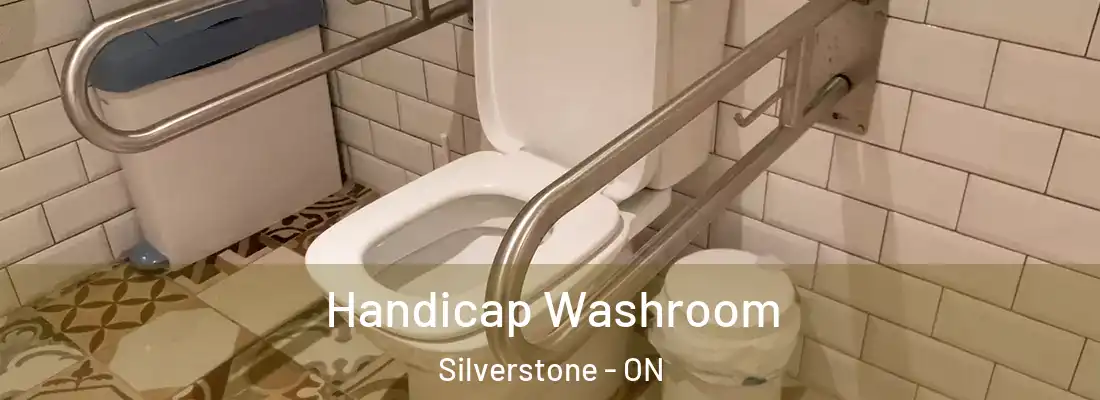  Handicap Washroom Silverstone - ON