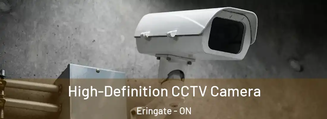  High-Definition CCTV Camera Eringate - ON
