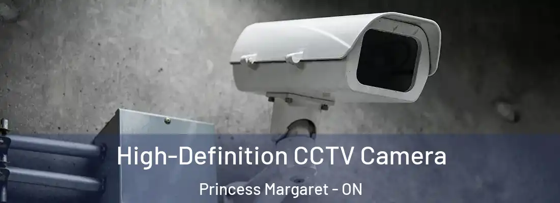  High-Definition CCTV Camera Princess Margaret - ON