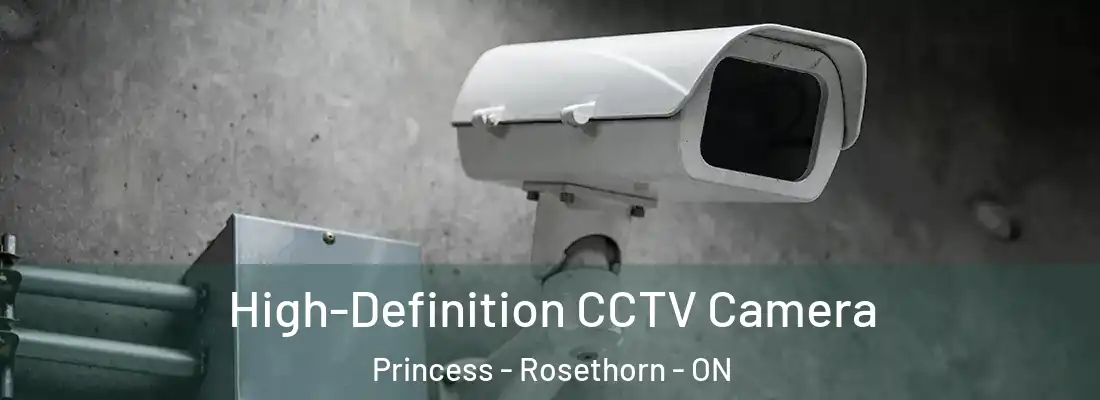  High-Definition CCTV Camera Princess - Rosethorn - ON