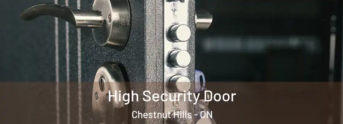  High Security Door Chestnut Hills - ON