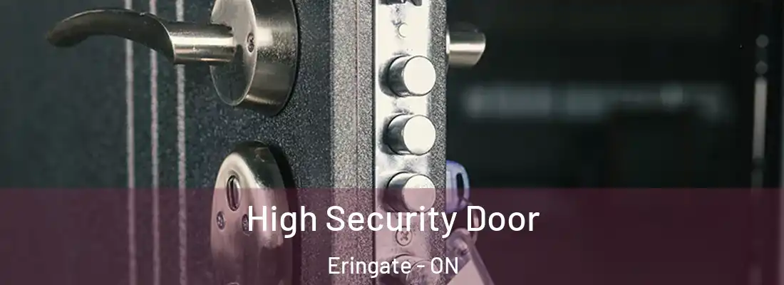 High Security Door Eringate - ON