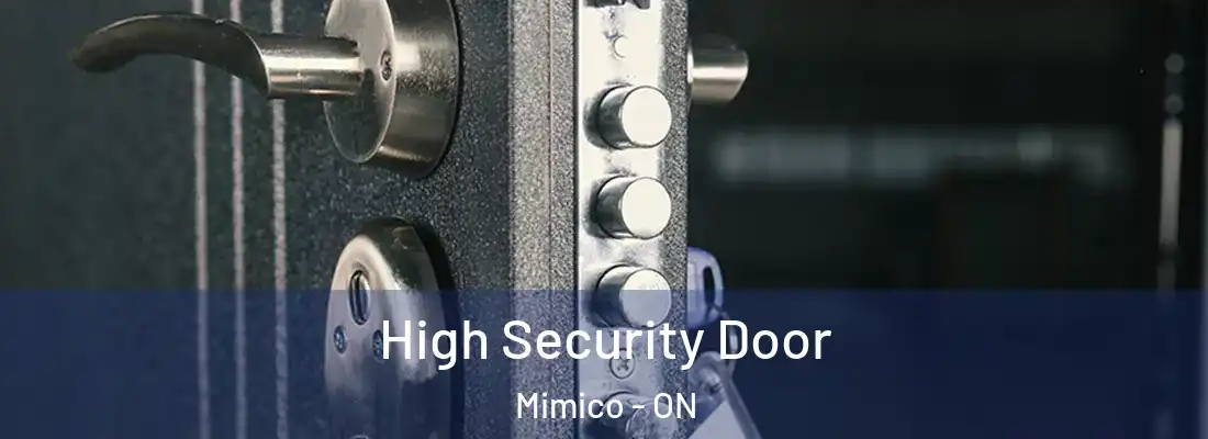  High Security Door Mimico - ON