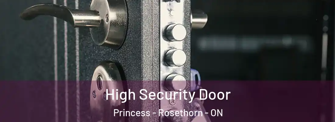  High Security Door Princess - Rosethorn - ON