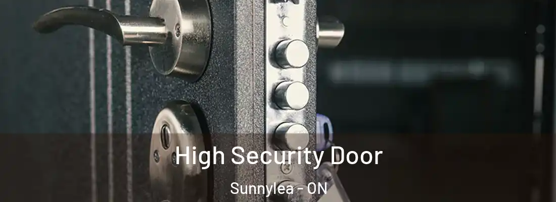  High Security Door Sunnylea - ON