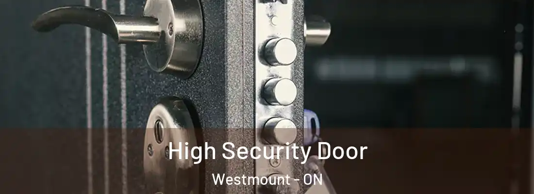  High Security Door Westmount - ON